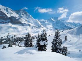 http://www.toursaltitude.com/wp-content/uploads/2014/07/Grindelwald-Wengen-42-280x210.jpg