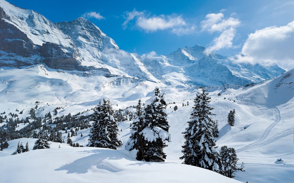 http://www.toursaltitude.com/wp-content/uploads/2014/07/Grindelwald-Wengen-42-955x595.jpg