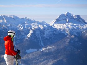 http://www.toursaltitude.com/wp-content/uploads/2014/07/Revelstoke-Mountain-Resort-5-Ian-Houghton1-280x210.jpg