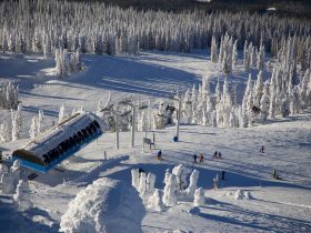 http://www.toursaltitude.com/wp-content/uploads/2014/07/Revelstoke-Mountain-Resort-6-Ian-Houghton-280x210.jpg