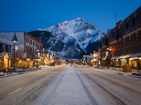 http://www.toursaltitude.com/wp-content/uploads/2014/07/winter-banff-avenue-night-Zizka-5-280x210.jpg