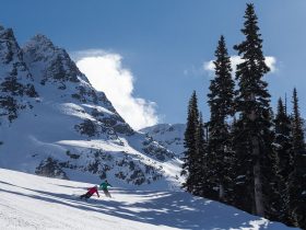 http://www.toursaltitude.com/wp-content/uploads/2016/06/WB-PaulMorrison4-280x210.jpg