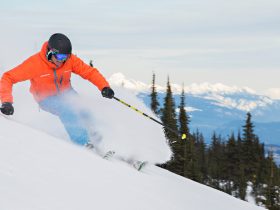 http://www.toursaltitude.com/wp-content/uploads/2017/07/Skier-on-Tod-Mountain-280x210.jpg