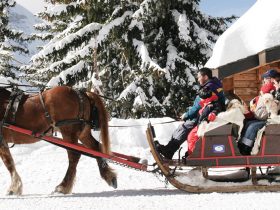 http://www.toursaltitude.com/wp-content/uploads/2019/03/avoriaz5_06-280x210.jpg