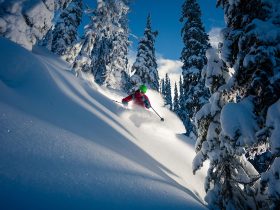 http://www.toursaltitude.com/wp-content/uploads/2019/08/Bigwhite-3187-web-280x210.jpg
