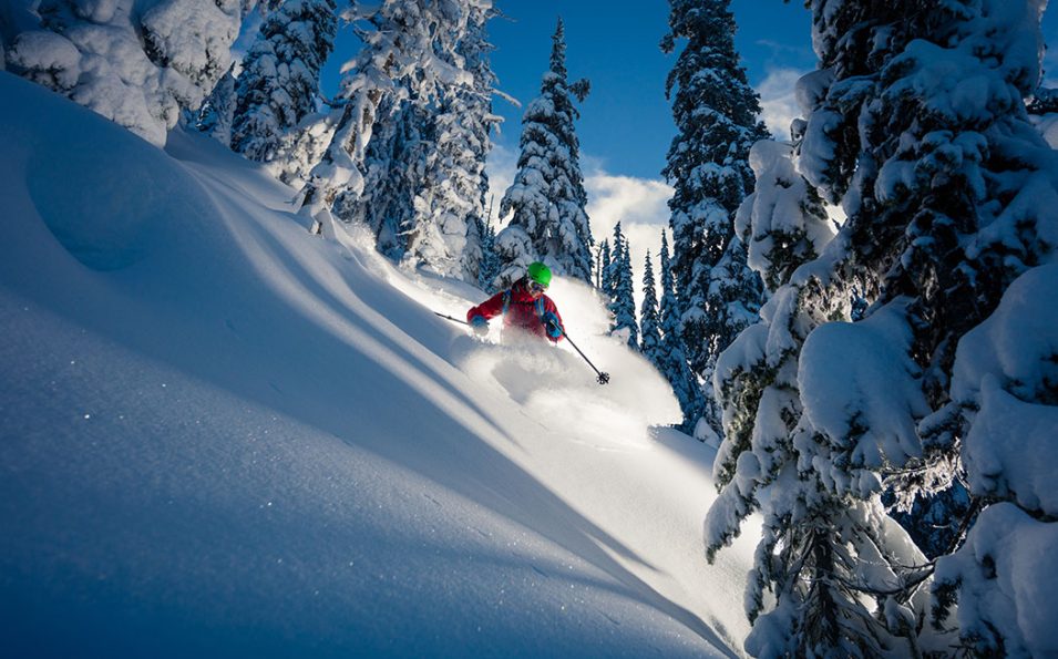http://www.toursaltitude.com/wp-content/uploads/2019/08/Bigwhite-3187-web-955x595.jpg