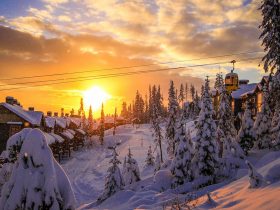 http://www.toursaltitude.com/wp-content/uploads/2019/08/Winter-Scenic-Gondola-1-2000x800px-280x210.jpg