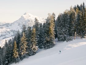 http://www.toursaltitude.com/wp-content/uploads/2023/06/Landschaft-Natur-Kitzbuehel-Hahnenkamm-Winter-Ski-Alpin-Wald-c-Kitzbuehel-Tourismus-1-280x210.jpg