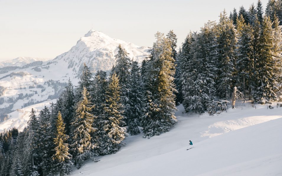 http://www.toursaltitude.com/wp-content/uploads/2023/06/Landschaft-Natur-Kitzbuehel-Hahnenkamm-Winter-Ski-Alpin-Wald-c-Kitzbuehel-Tourismus-1-955x595.jpg