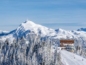 http://www.toursaltitude.com/wp-content/uploads/2023/06/Landschaft-Skigebiet-Hahnenkamm-Winter-Panorama-Bergstation-c-Kitzbuehel-Tourismus-8-280x210.jpg