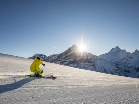 http://www.toursaltitude.com/wp-content/uploads/2024/04/Skifahren-im-Skigebiet-Grindelwald-First-1-280x210.jpg